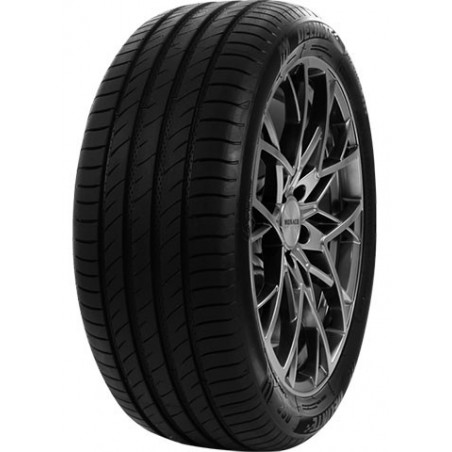 DELINTE - 245/40 ZR21 TL...